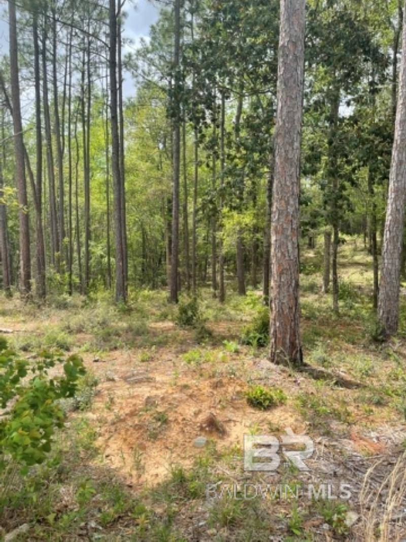 Daphne, AL 36526,0 Elderberry Drive