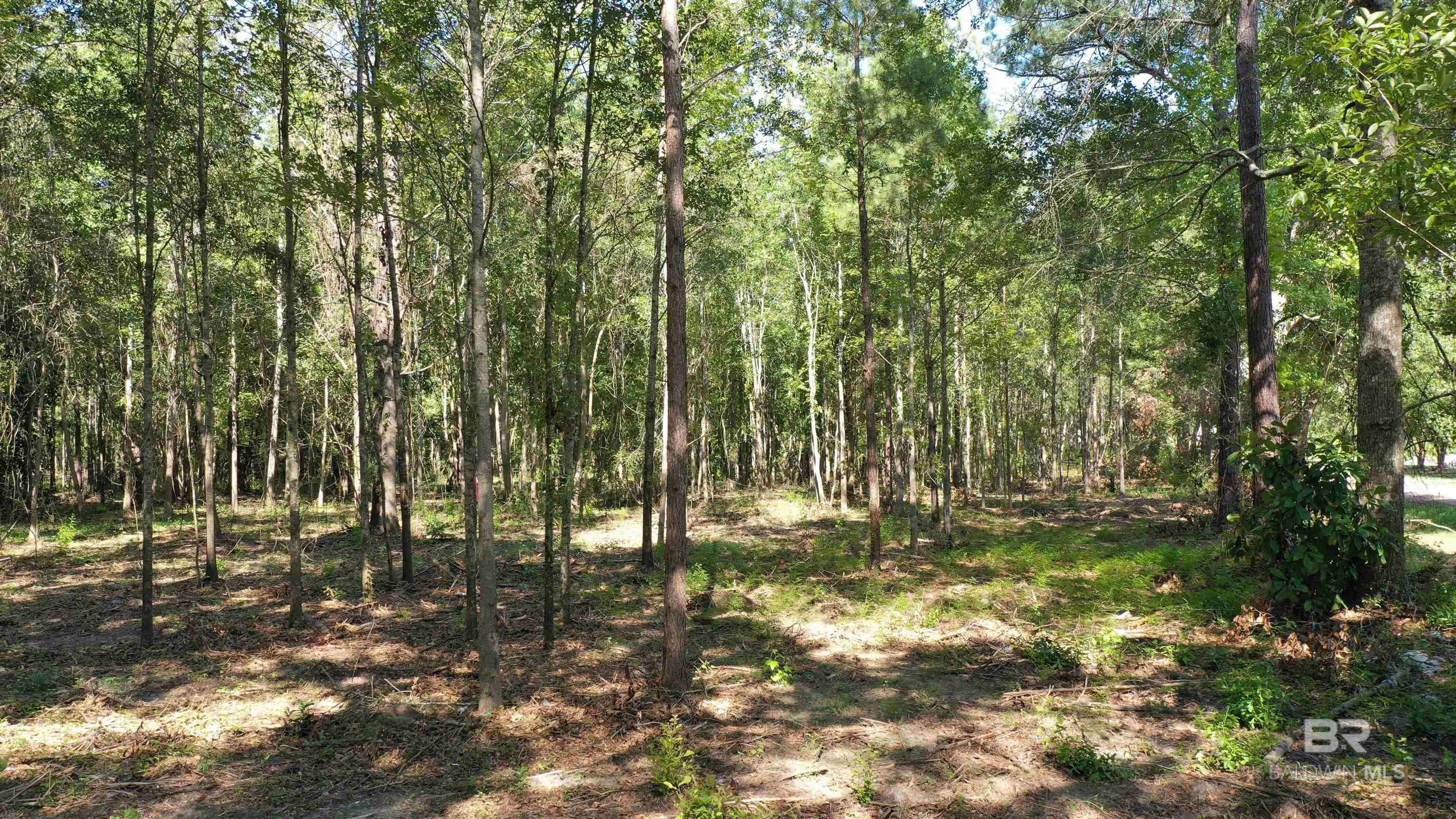 Atmore, AL 36502,Lot 2 Harris Street