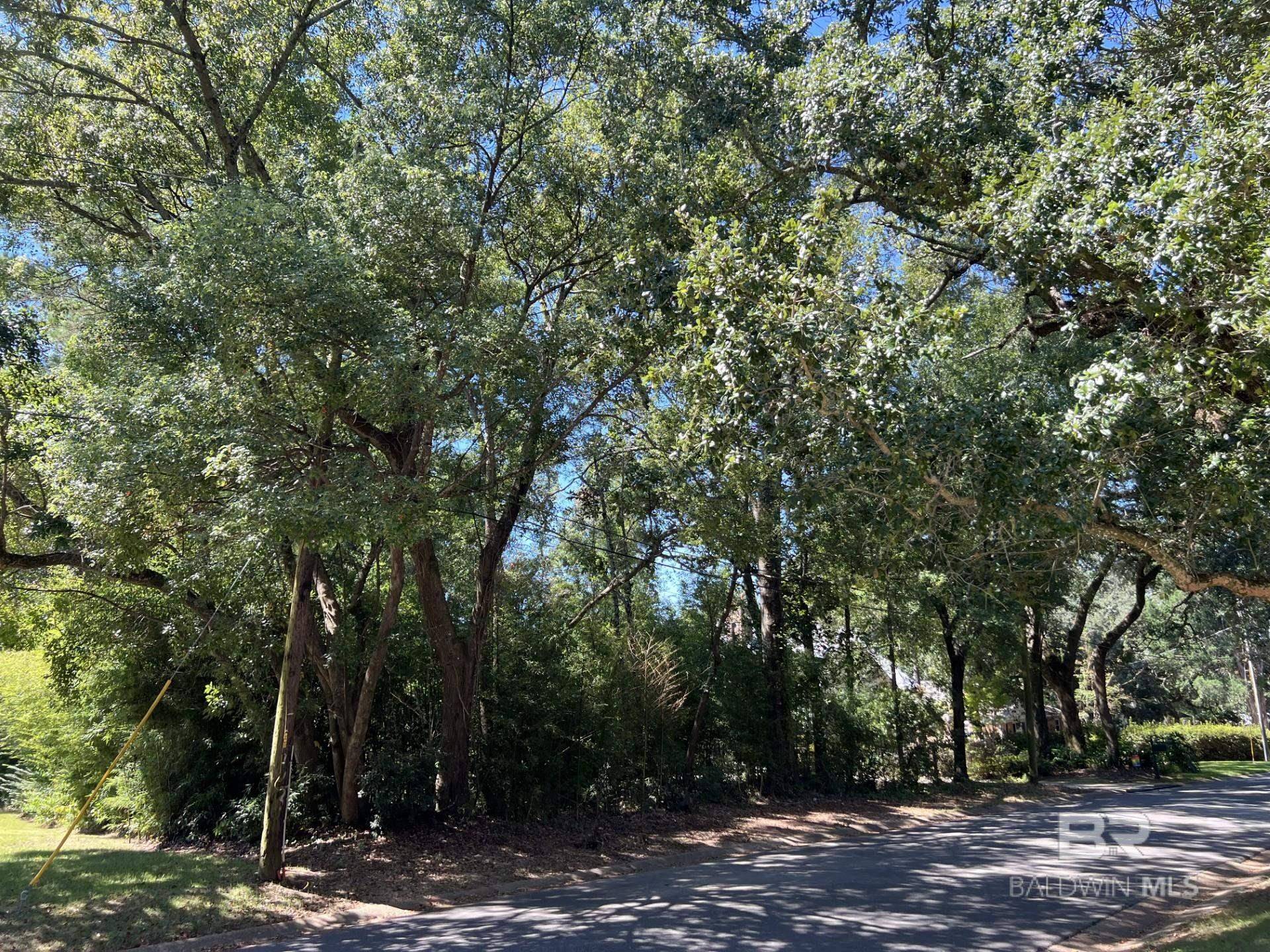 Fairhope, AL 36532,0 Pier Avenue