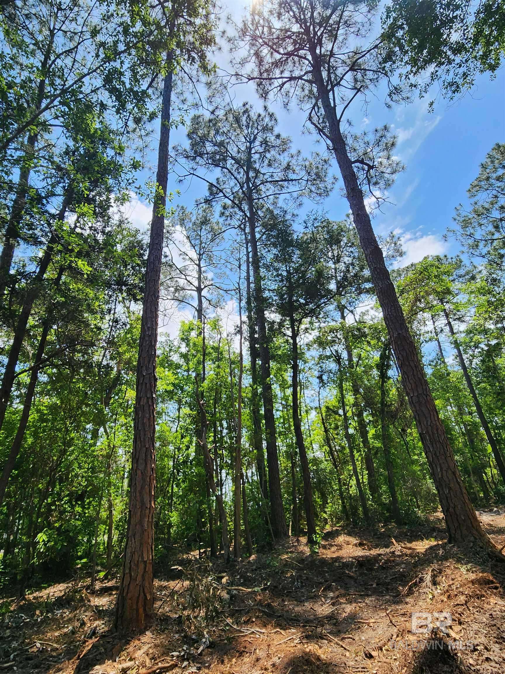Lillian, AL 36549,0 7th Street