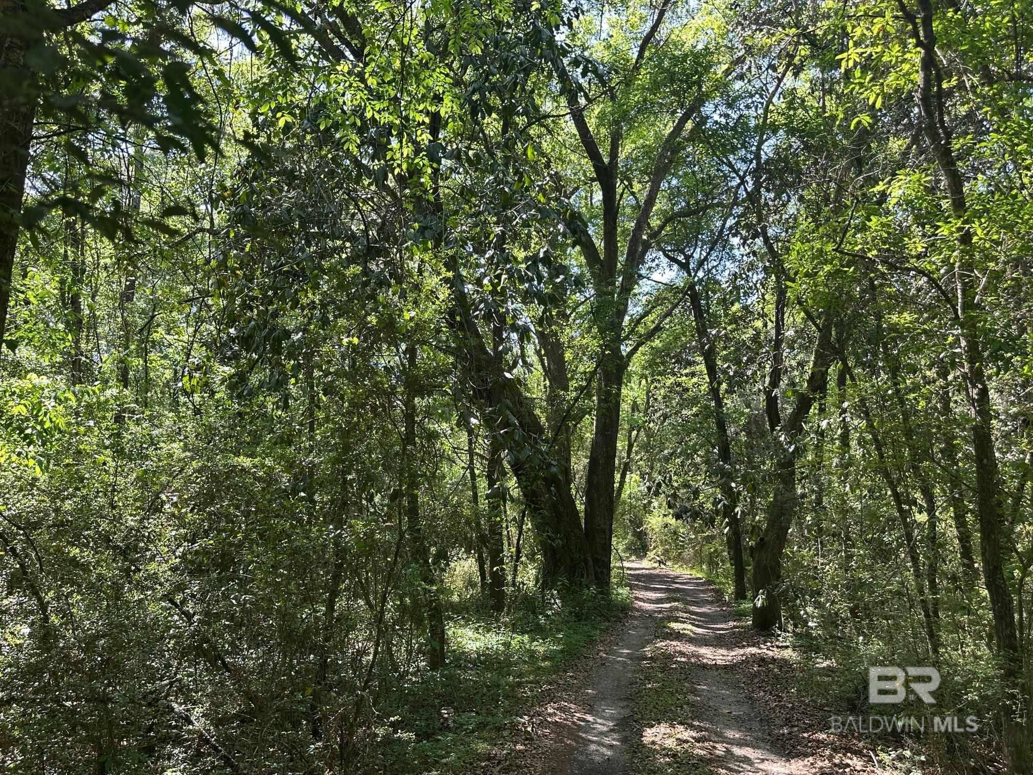 Satsuma, AL 36572,0 Orchard Street