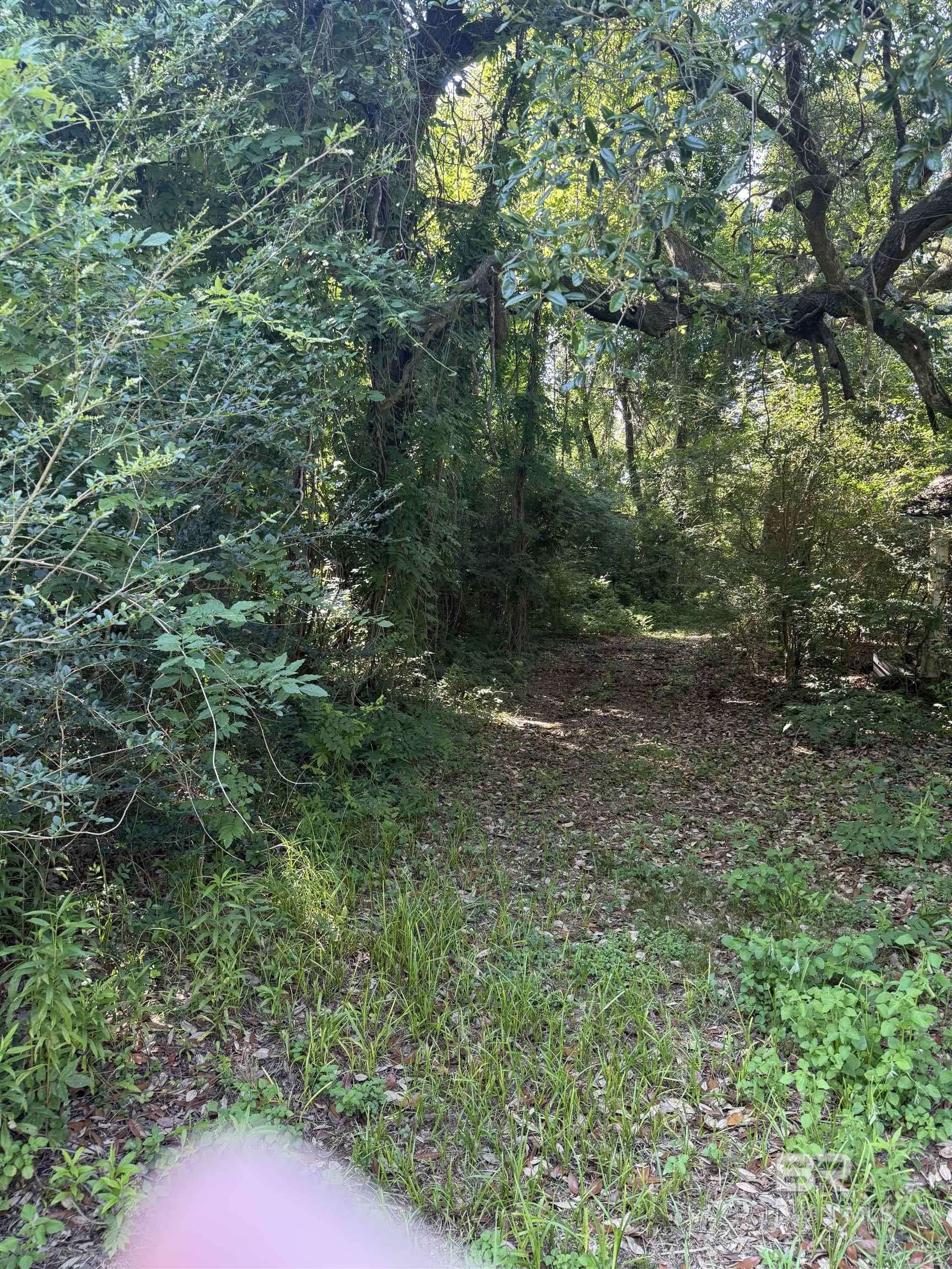 Silverhill, AL 36576,13259 Woodhaven Dairy Road