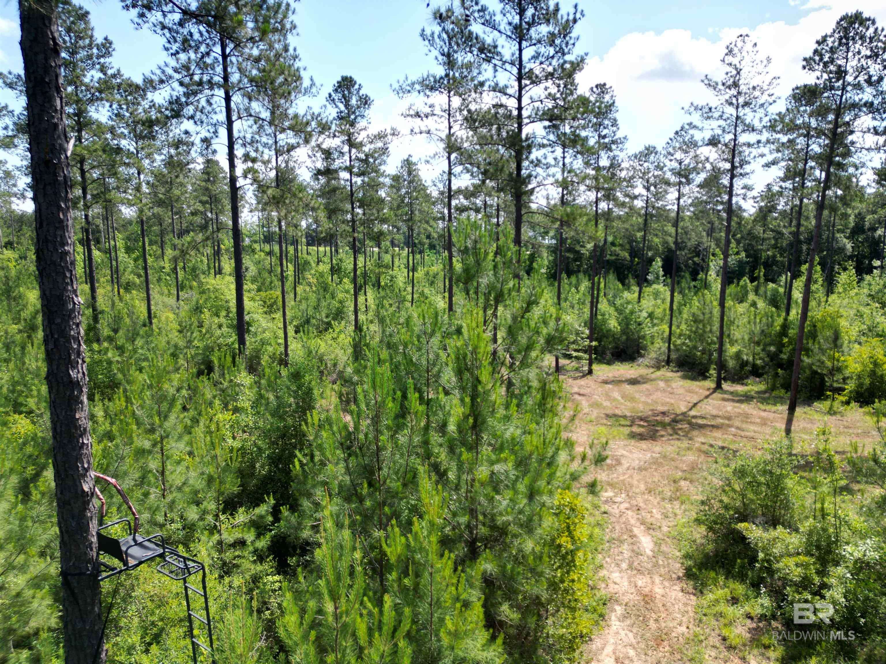 Atmore, AL 36502,8450 Robinsonville Road