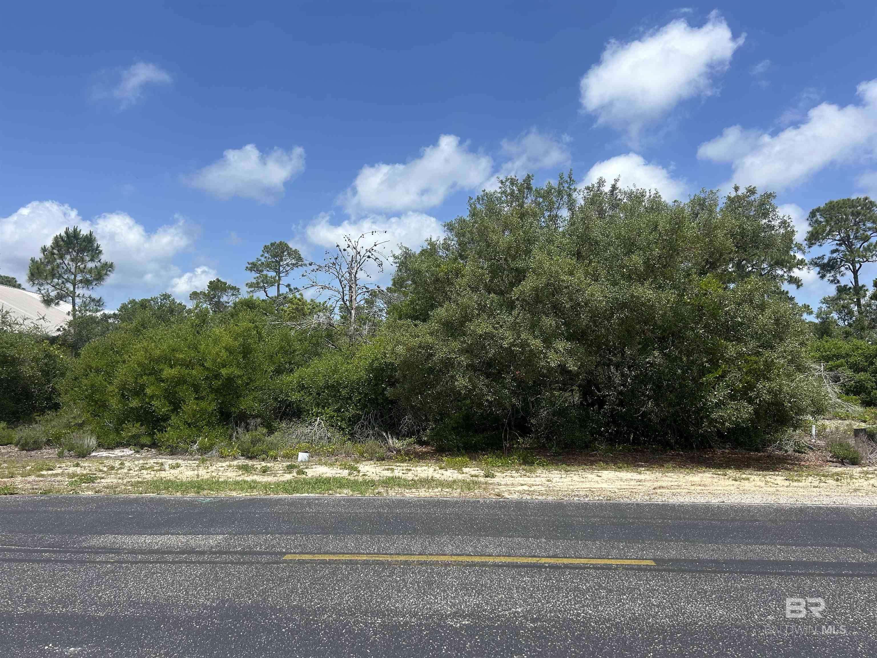 Orange Beach, AL 36561,0 Bayou Court