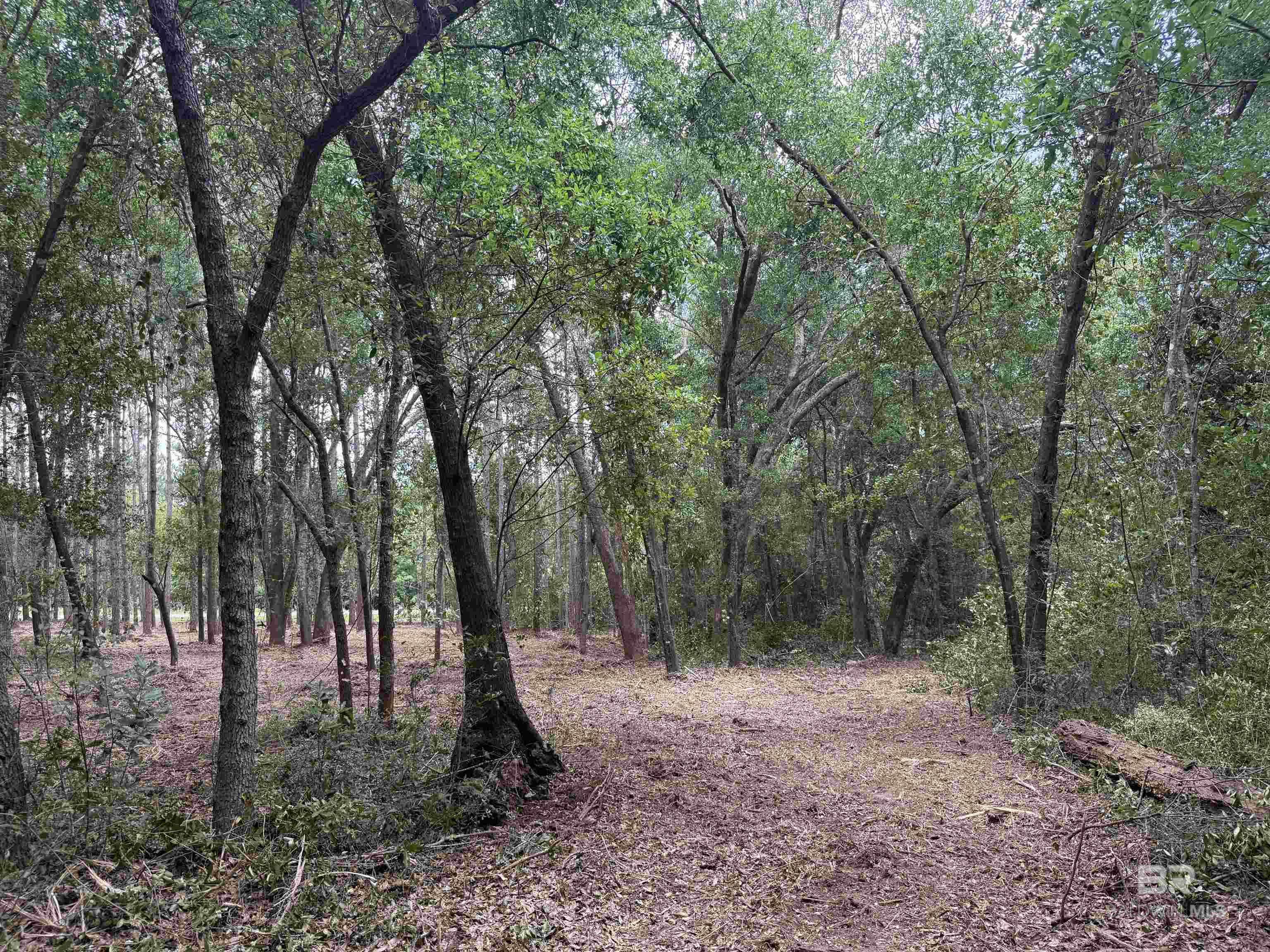 Elberta, AL 36530,0 County Road 97