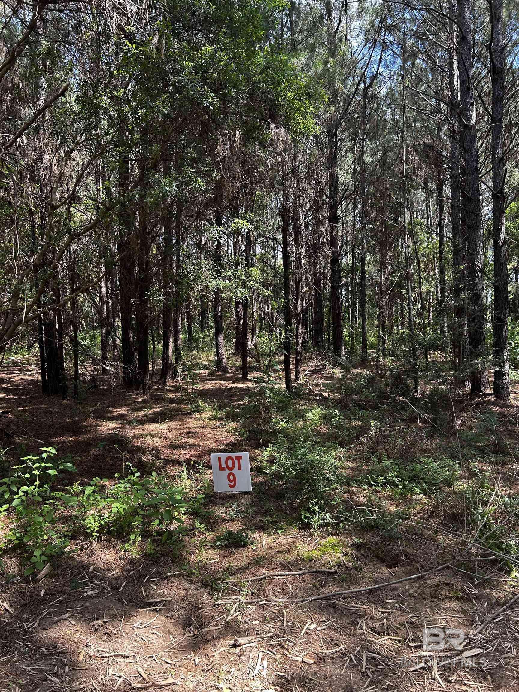 Foley, AL 36535,0 James Road