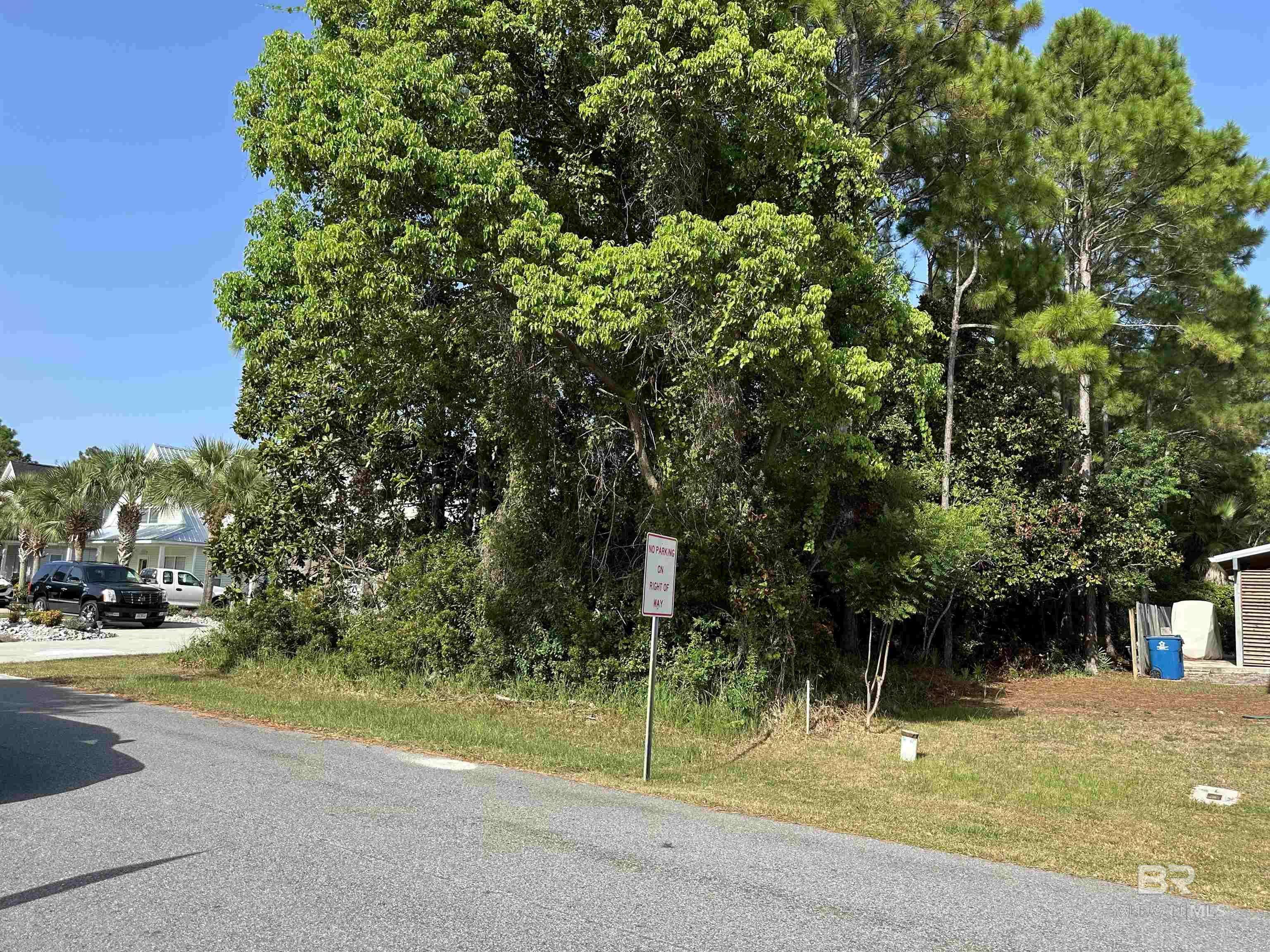 Orange Beach, AL 36561,0 Tiger Brown Avenue