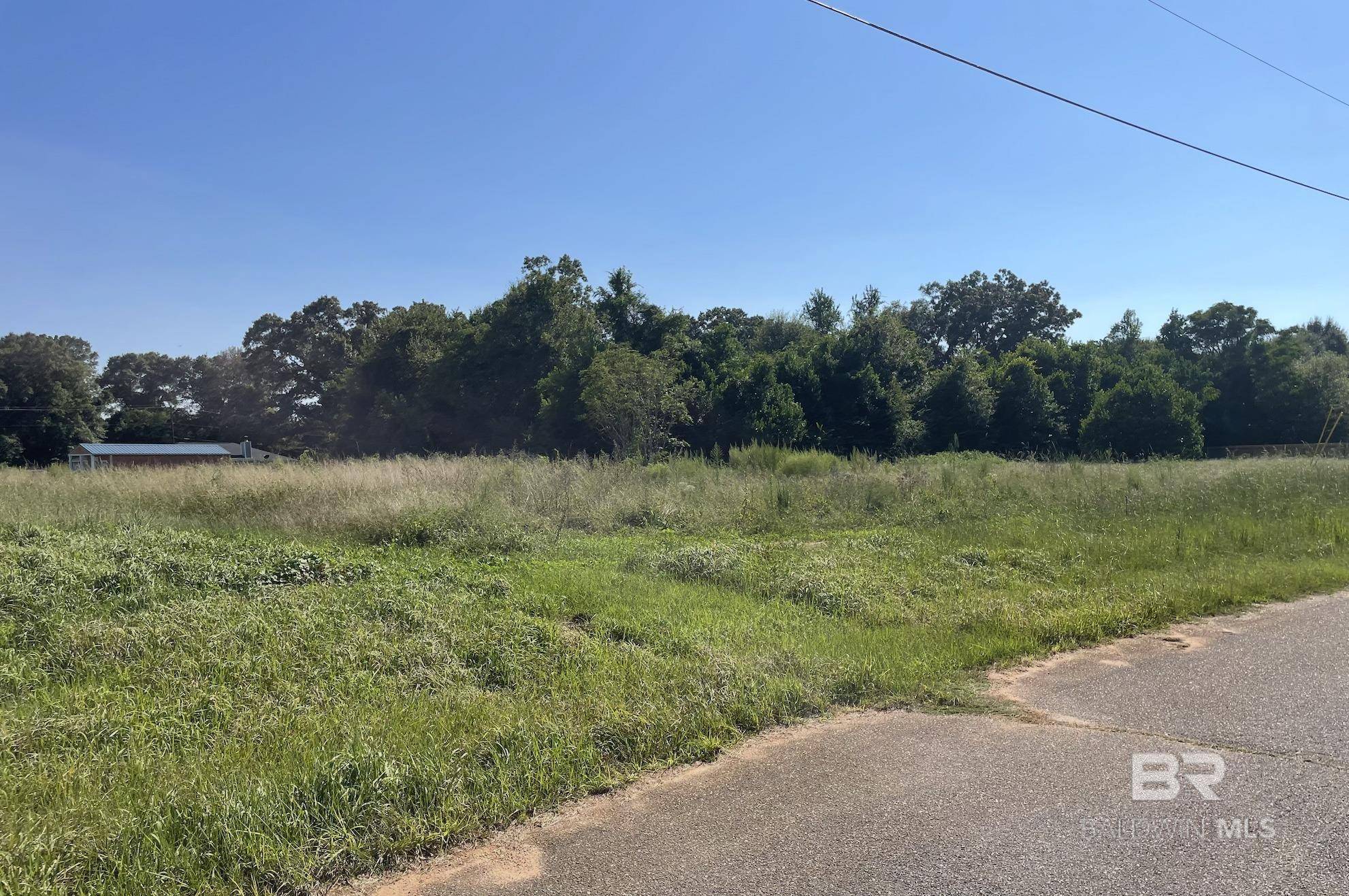 Chunchula, AL 36695,Brighton Drive