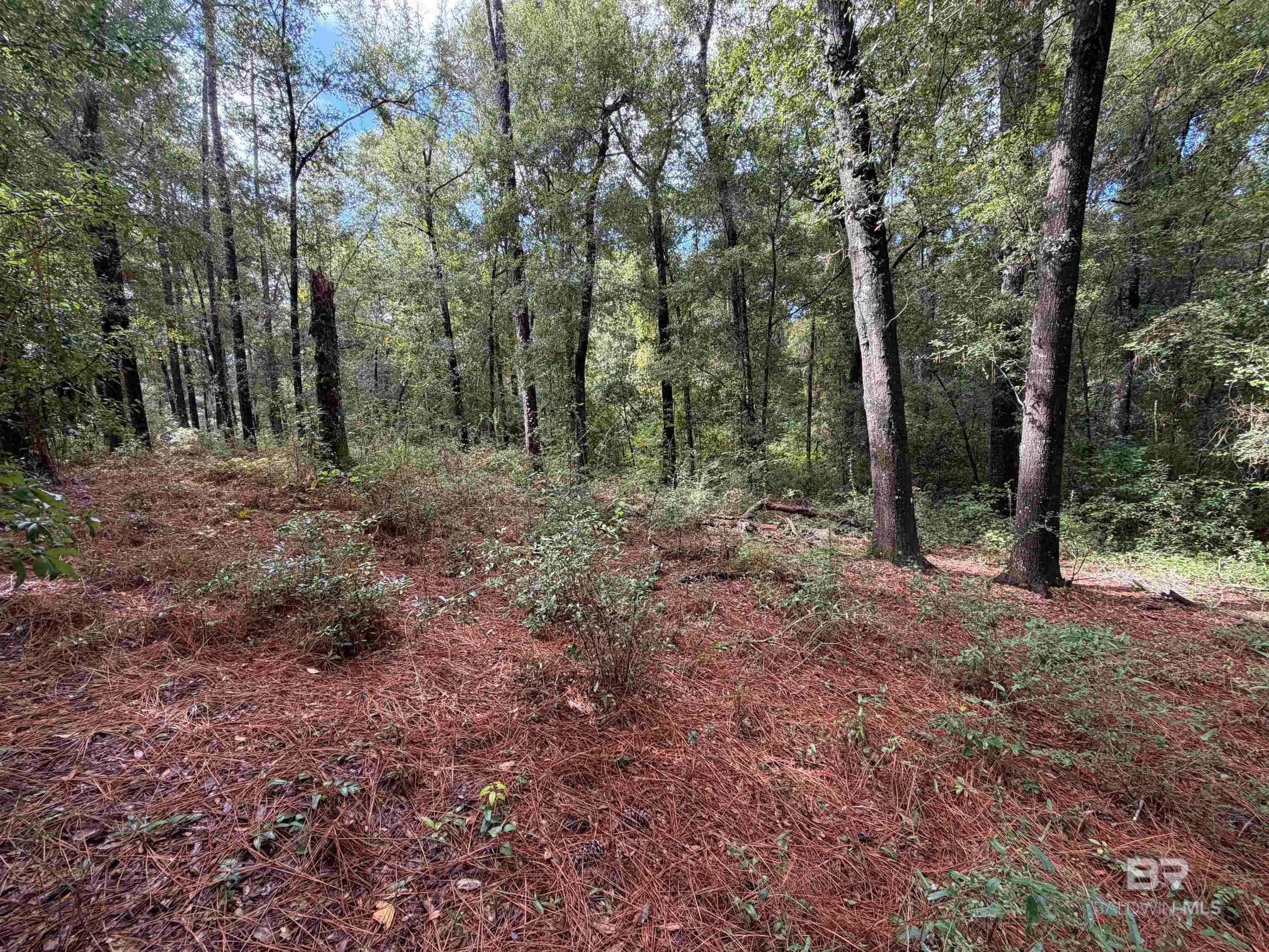 Fairhope, AL 36532,0 Victorian Drive