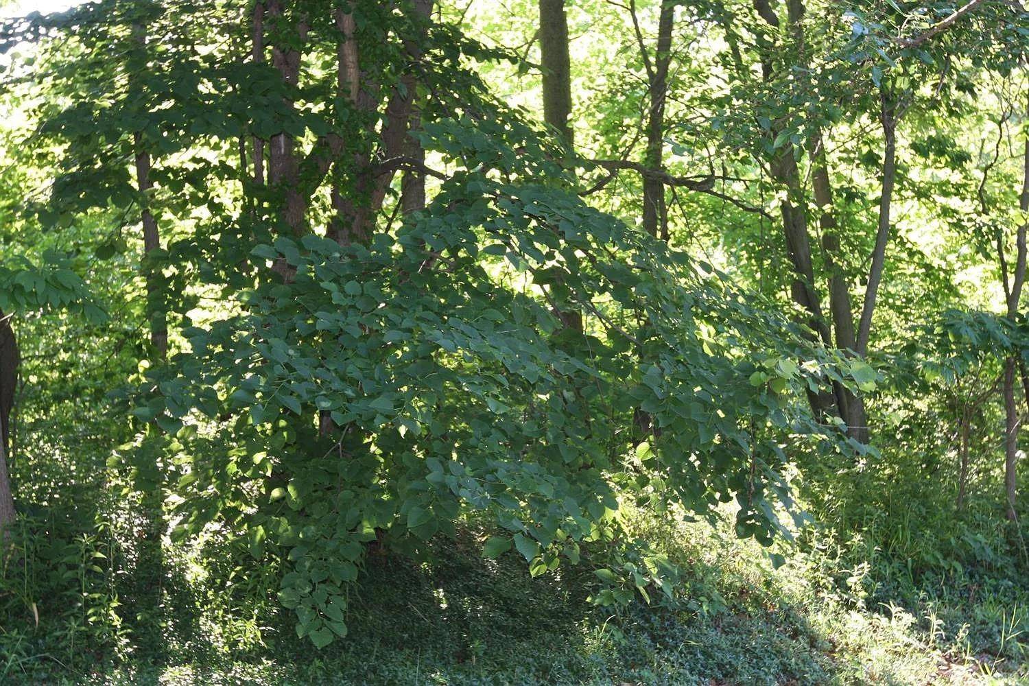 Beverly Shores, IN 46301,18 S Lake Shore County Road