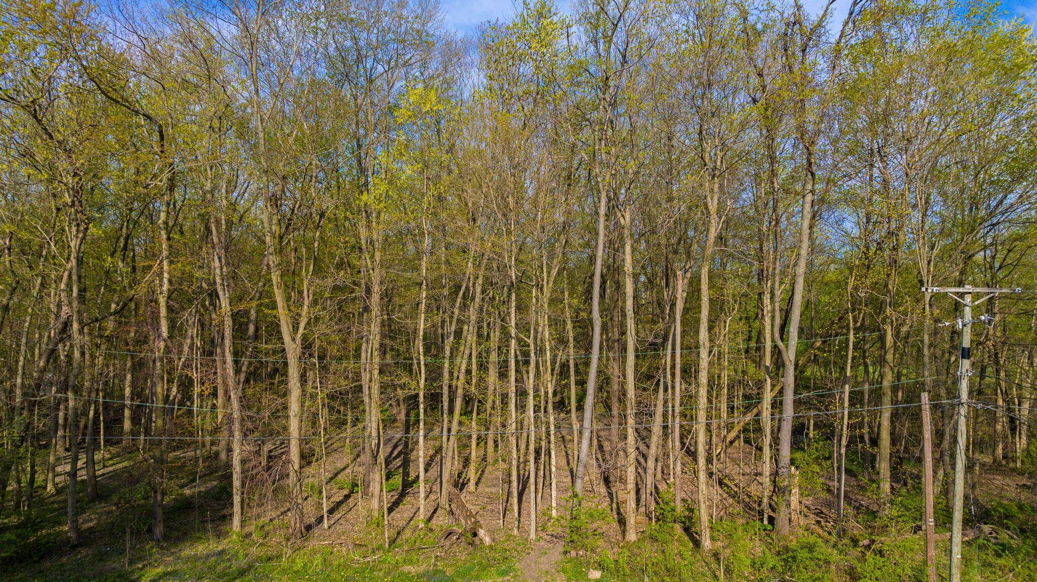 New Carlisle, IN 46552,0 Pansy Lane