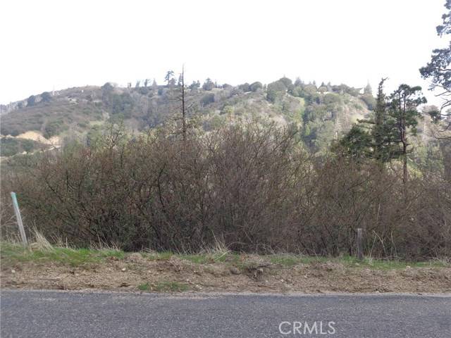 Cedarpines Park, CA 92322,0 Scenic DR