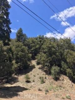 Pine Mtn Club, CA 93222,1313 Bernina DR