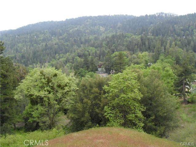 Cedarpines Park, CA 92322,0 Cochran