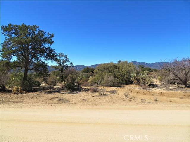 Mountain Center, CA 92561,27 Scenic DR