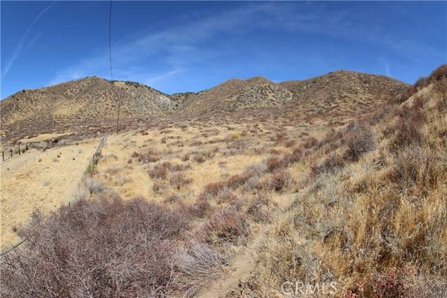 Leona Valley, CA 93536,0 Babia St/90th St W