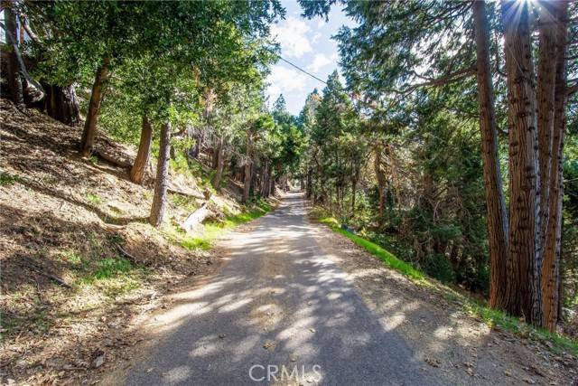 Cedarpines Park, CA 92322,0 Peak CIR