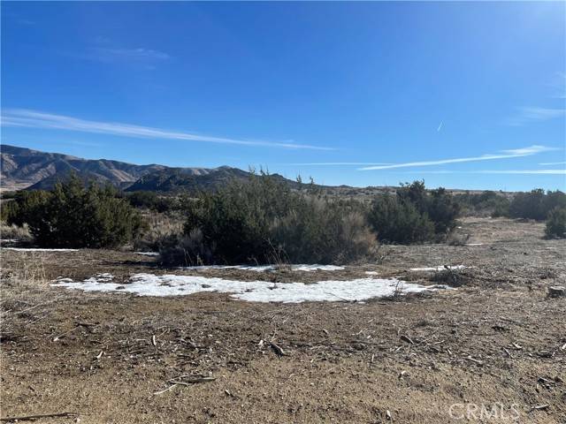 Tehachapi, CA 93561,12450 Jamie CT