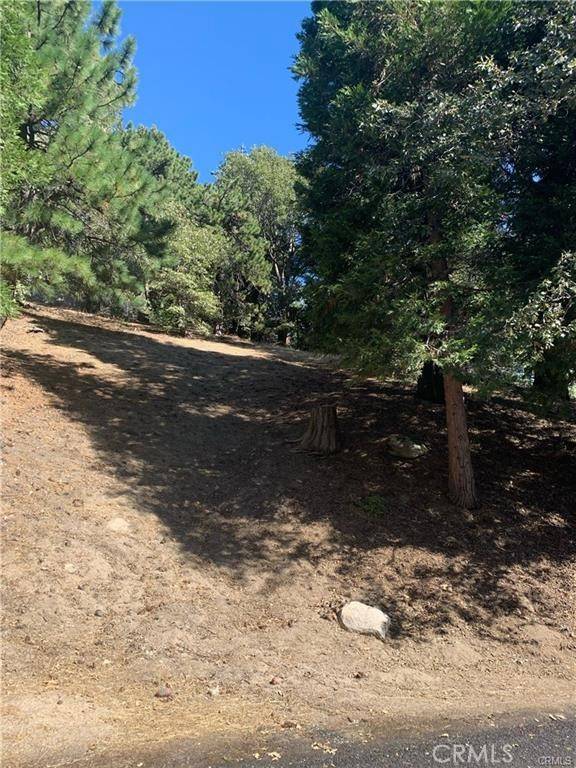 Cedarpines Park, CA 92322,0 Peak CIR