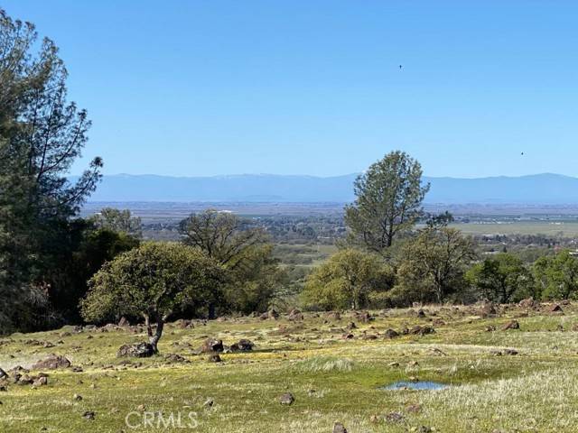 Chico, CA 95973,0 Richardson Springs RD