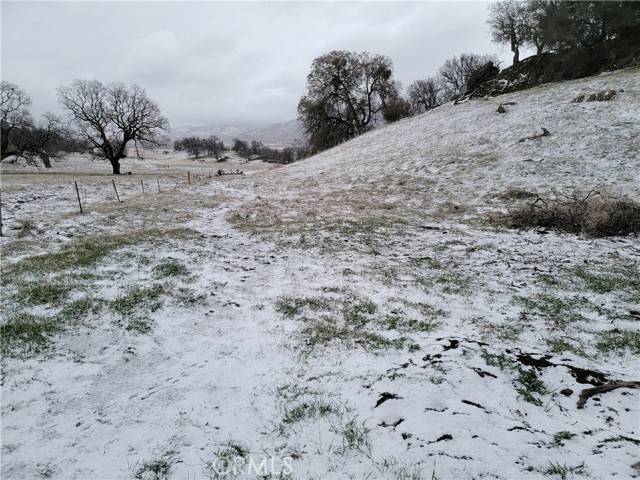 Tehachapi, CA 93561,19050 Longhorn