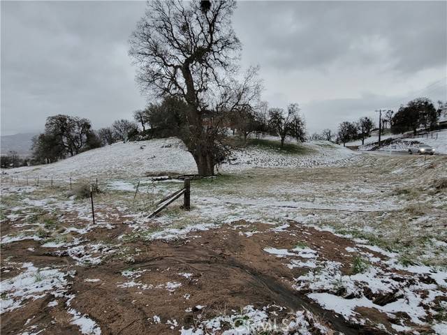 Tehachapi, CA 93561,19050 Longhorn