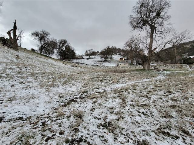 Tehachapi, CA 93561,19050 Longhorn