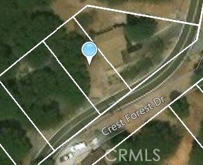 Cedarpines Park, CA 92322,11 Crest Forest DR