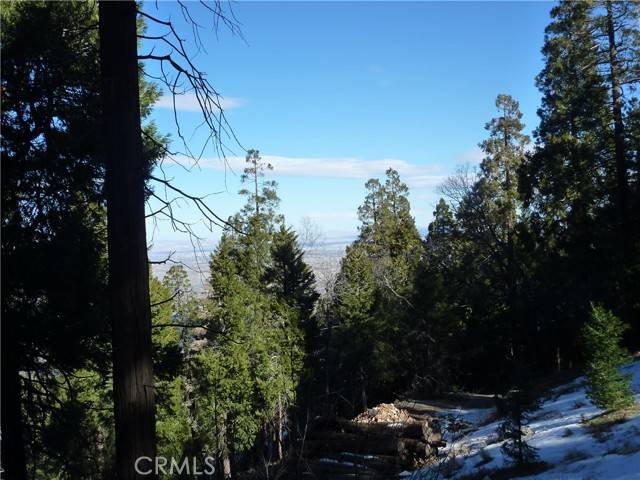 Cedarpines Park, CA 92322,0 Peak CIR