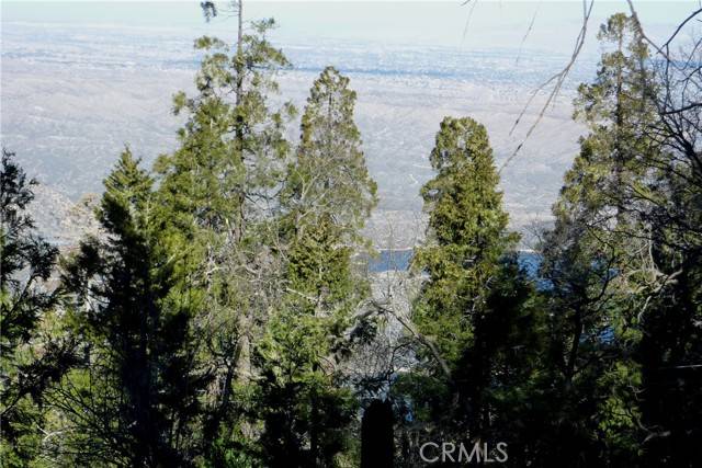 Cedarpines Park, CA 92322,0 Peak CIR