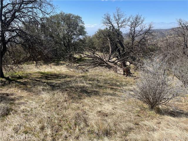 Tehachapi, CA 93561,0 Peregrine