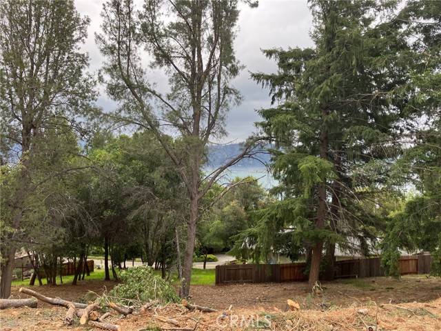 Kelseyville, CA 95451,3528 Fircrest CT
