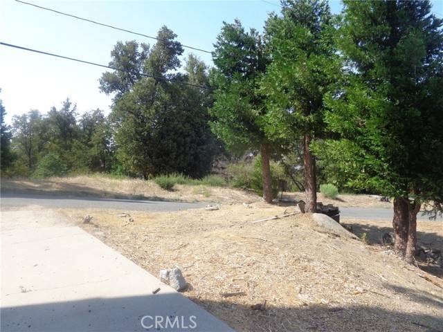 Cedarpines Park, CA 92322,739 Mozumdar DR