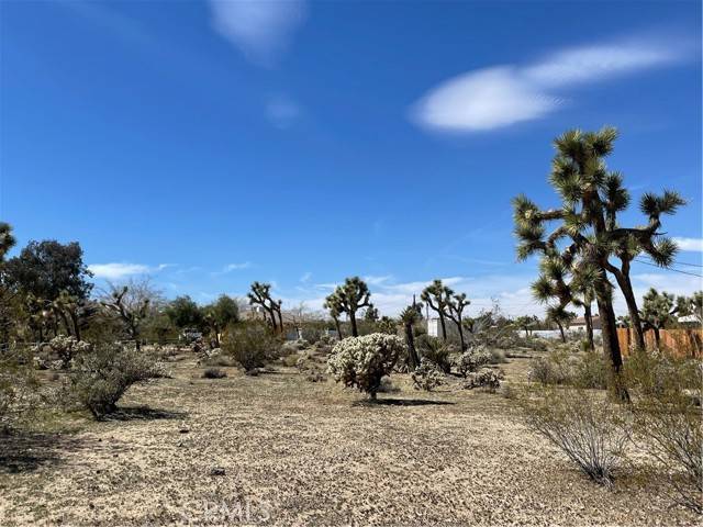 Yucca Valley, CA 92284,0 Sun Mesa DR