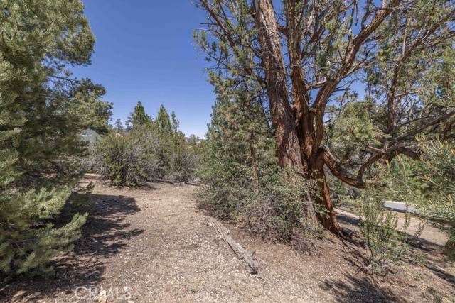 Big Bear Lake, CA 92315,248 Echo Hill RD