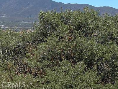 Anza, CA 92539,54 Roger LN