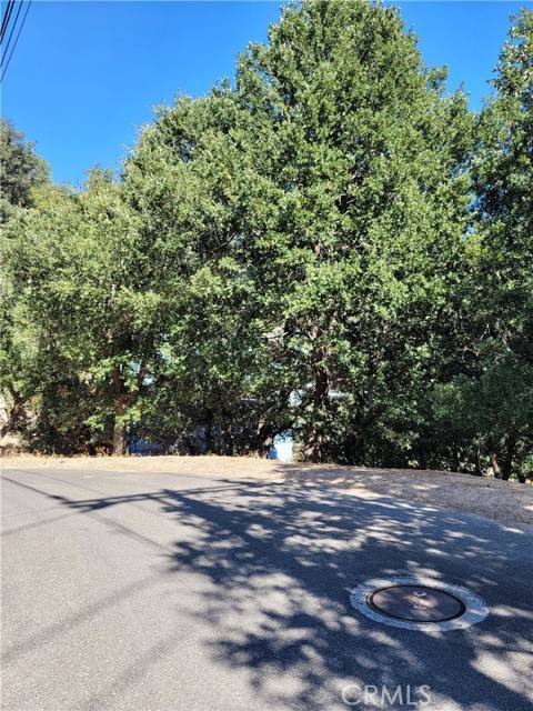 Crestline, CA 92325,0 Berne DR