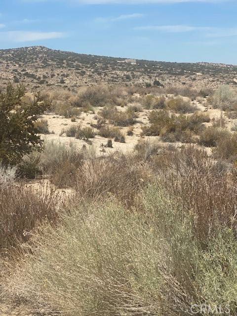 Llano, CA 93544,0 Vac/Ft Tejon Rd/Vic 160th Ste