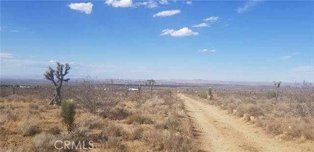 Llano, CA 93544,0 Vac/175 Ste/Vic Ft Tejon RD