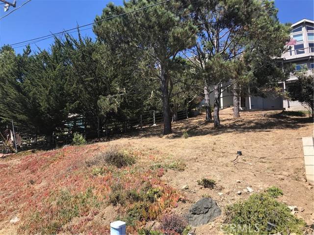 Cambria, CA 93428,0 Canterbury LN