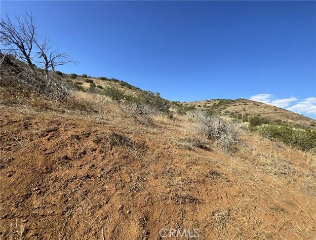 Agua Dulce, CA 91350,0 Vac/Alfie Road Drt /Vic Shallo