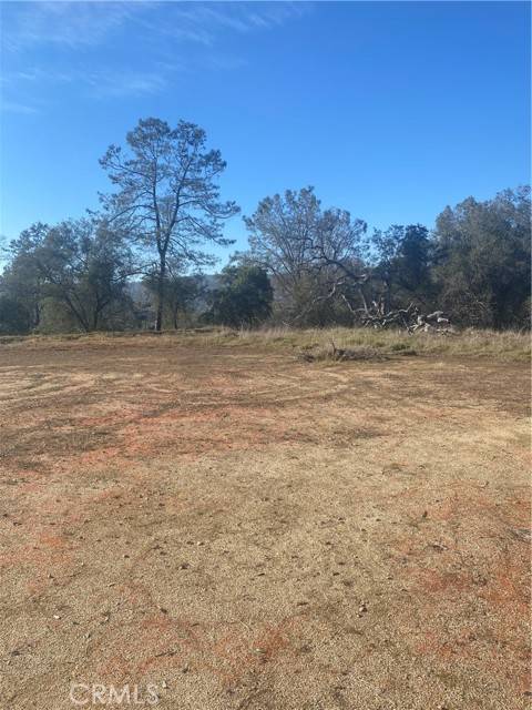 Coarsegold, CA 93614,0 Garnet Creek LN