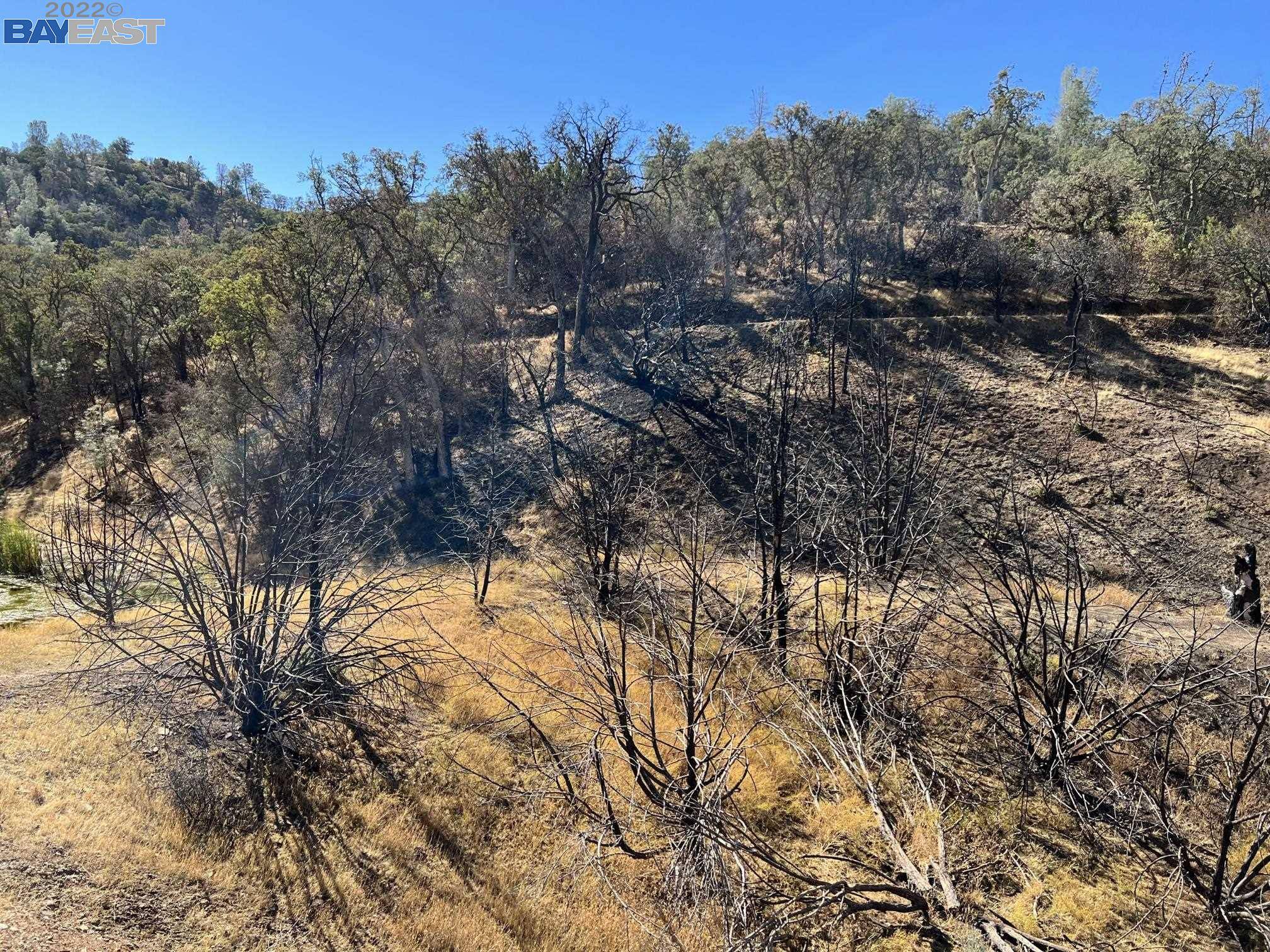 Tracy, CA 95377,17488 W Corral Hollow Rd