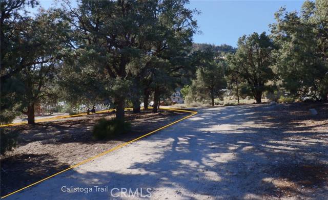 Frazier Park, CA 93225,0 Calistoga Trl