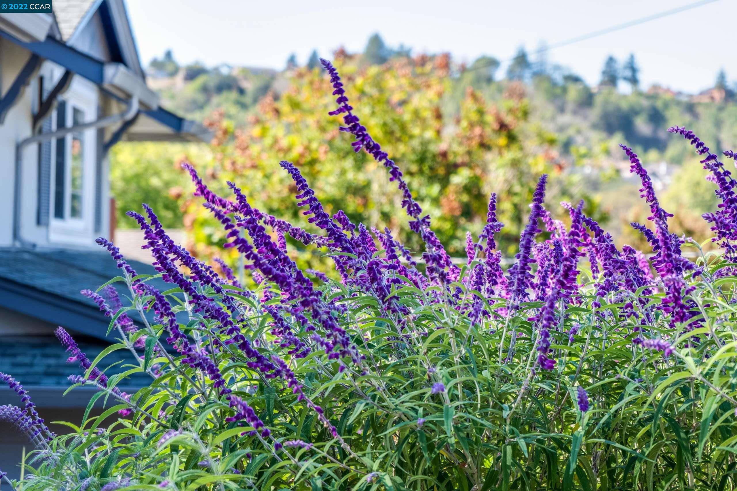 Pinole, CA 94564,2430 Kyer St