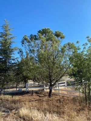 Anza, CA 92539,38800 Contreras RD