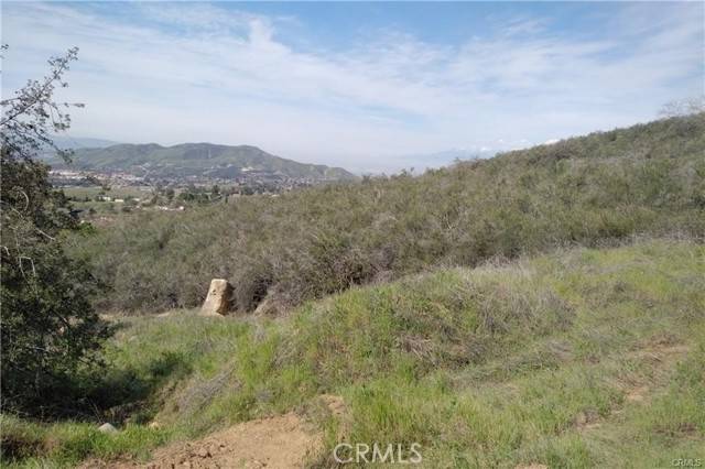 Oak Glen, CA 92399,0 Ivy