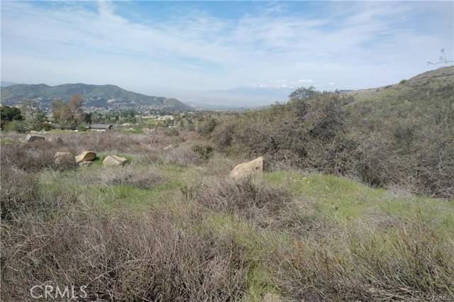 Oak Glen, CA 92399,0 Ivy