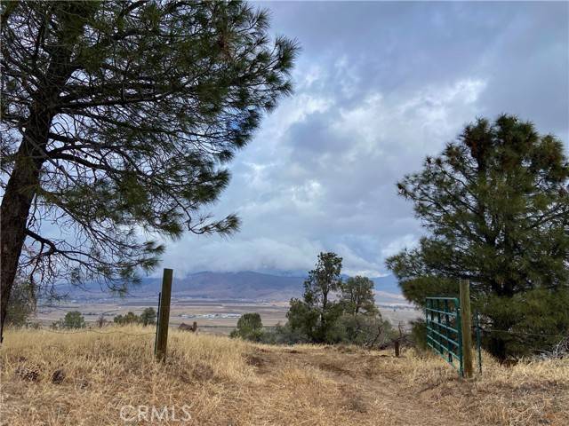 Tehachapi, CA 93561,0 Pearce DR