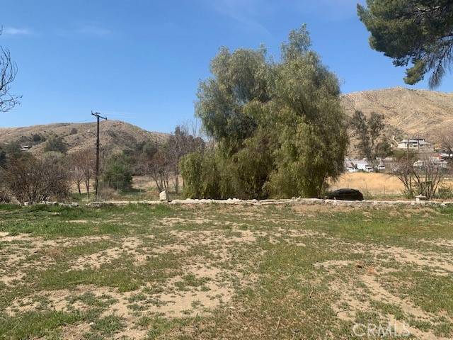 Canyon Country, CA 91387,0 Scherzinger